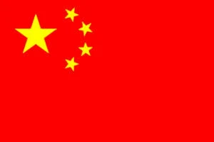 Chinese Government Scholarship